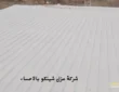 شركة عزل شينكو بالاحساء